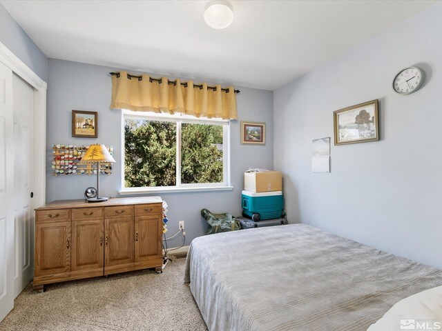 bedroom featuring light carpet and a closet