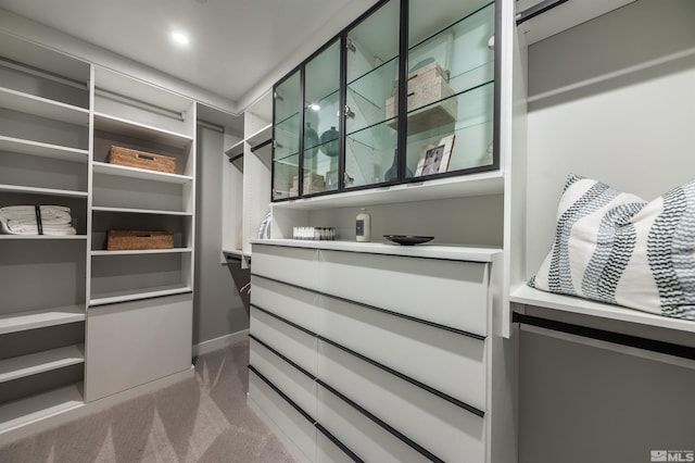 spacious closet featuring carpet flooring