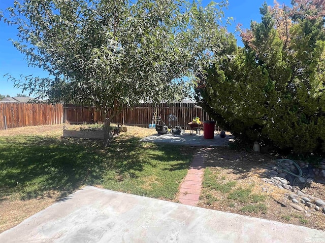 view of yard with a patio