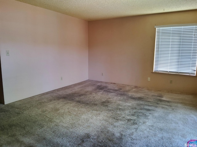 carpeted spare room featuring a textured ceiling