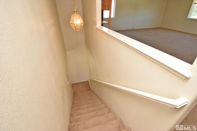 stairway with carpet flooring