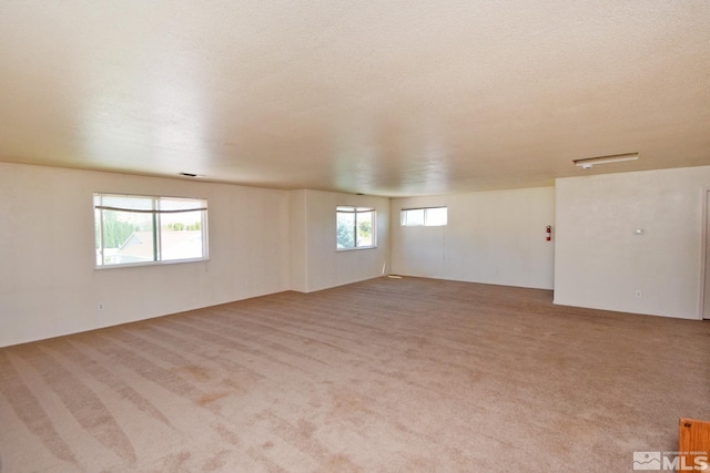 carpeted empty room with a textured ceiling and a healthy amount of sunlight