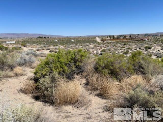 3780 E Antelope St, Silver Springs NV, 89429 land for sale