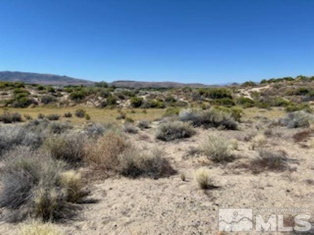 3810 E Antelope St, Silver Springs NV, 89429 land for sale