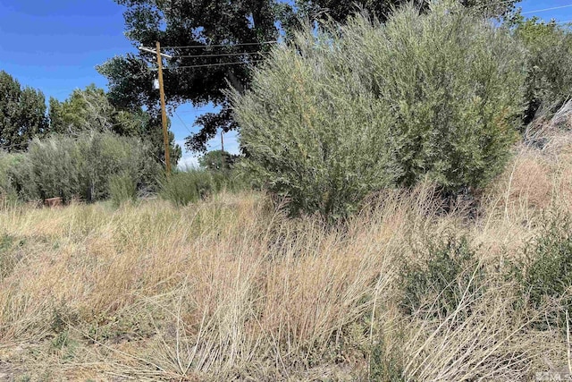 10 Rio Vista Dr, Yerington NV, 89447 land for sale