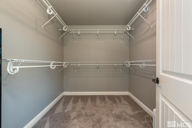 walk in closet with carpet