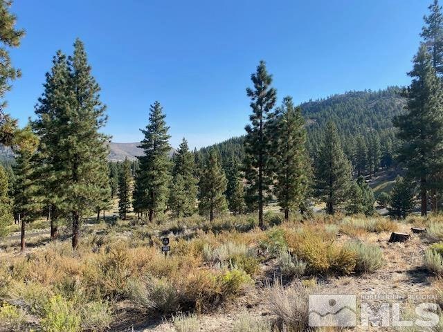 3253 Summit Camp Way, Carson City NV, 89705 land for sale