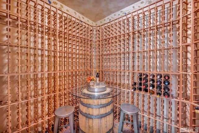 view of wine cellar