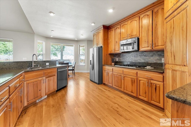 kitchen with light hardwood / wood-style flooring, a healthy amount of sunlight, appliances with stainless steel finishes, and sink