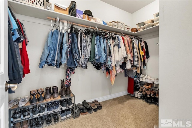 walk in closet with carpet