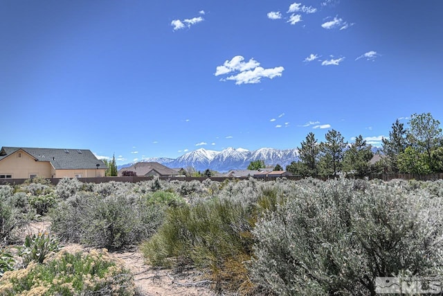 Listing photo 3 for 1521 Stephanie, Minden NV 89423