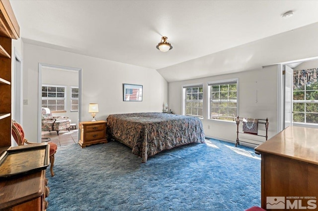 bedroom featuring vaulted ceiling and carpet floors