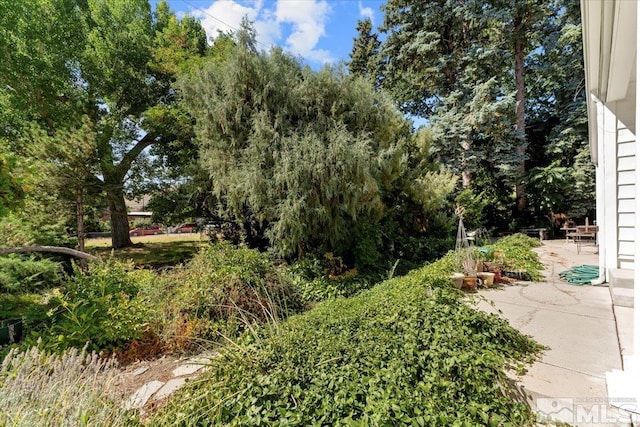 view of yard featuring a patio area