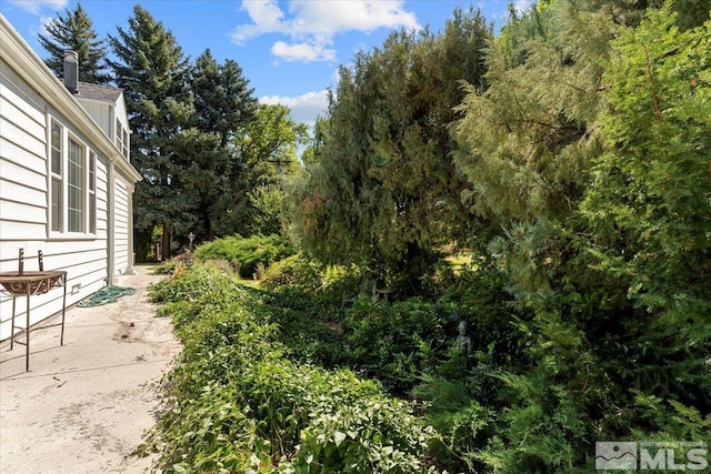 view of yard with a patio