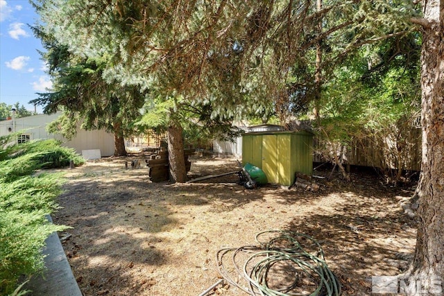 view of yard with a shed