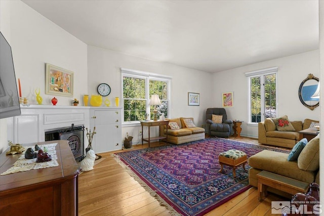 living room featuring light wood-type flooring