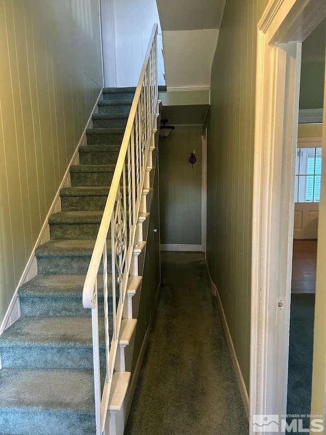 stairs with wood walls, crown molding, and carpet floors