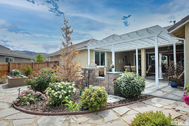 back of house featuring a patio area and a pergola