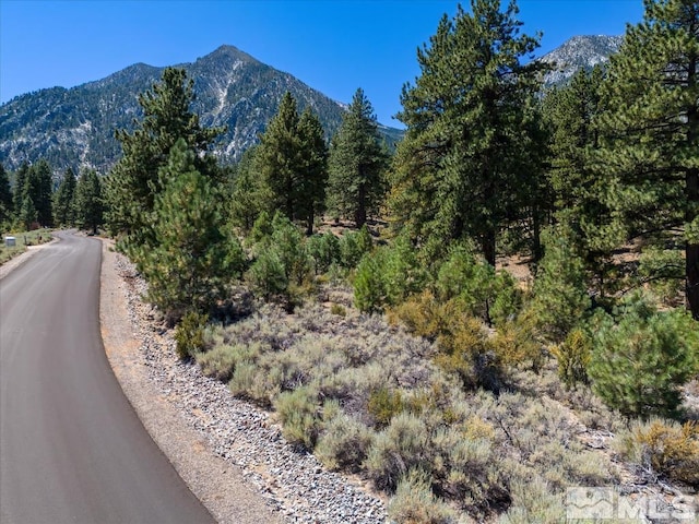 87 Five Creek Rd, Gardnerville NV, 89460 land for sale