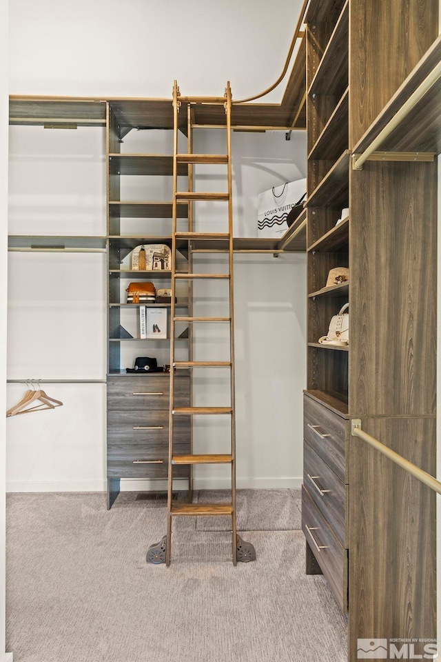 walk in closet with carpet floors