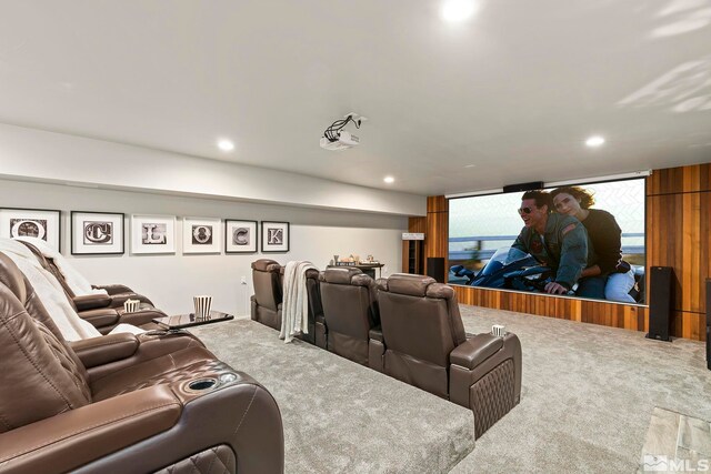 view of carpeted home theater