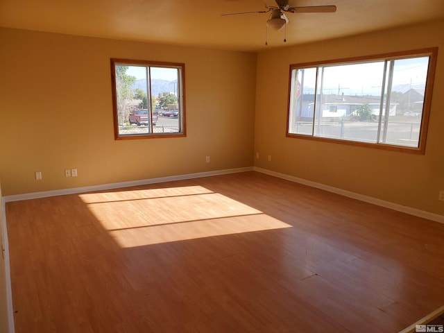 empty room with ceiling fan and wood-type flooring