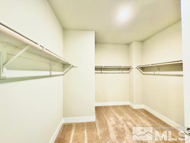 walk in closet featuring light colored carpet