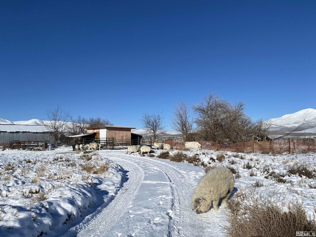 view of yard featuring a mountain view and a rural view