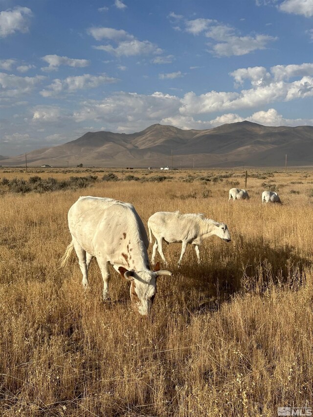 view of landscape featuring a mountain view and a rural view