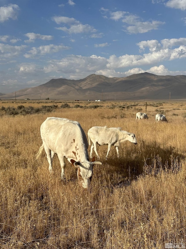 view of mountain feature featuring a rural view