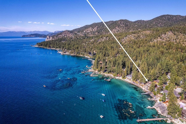 birds eye view of property with a forest view and a water and mountain view