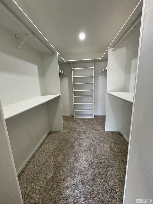 spacious closet featuring carpet flooring