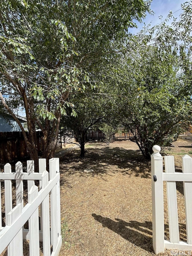 view of yard featuring fence private yard