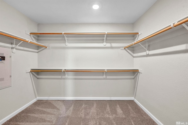 spacious closet with carpet