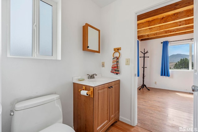 bathroom featuring vanity, toilet, and hardwood / wood-style flooring