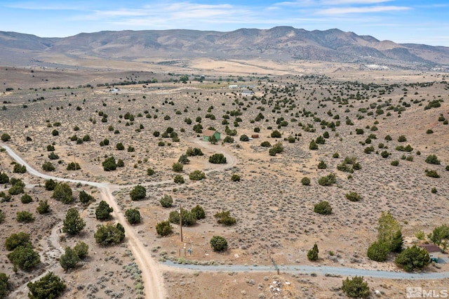 birds eye view of property featuring a mountain view