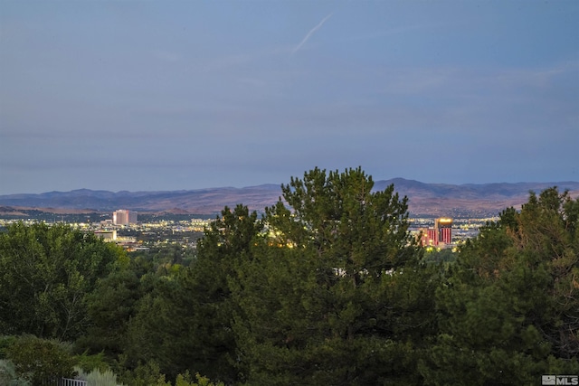 view of mountain feature