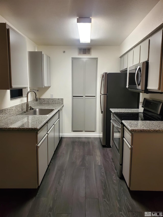 kitchen featuring dark wood-type flooring, stainless steel appliances, and sink