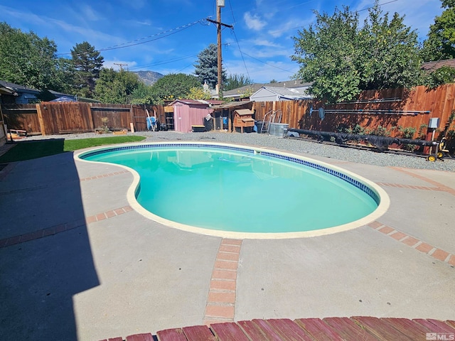 view of pool featuring a patio area and a shed