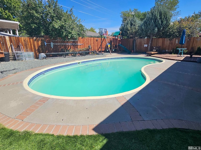 view of pool featuring a patio