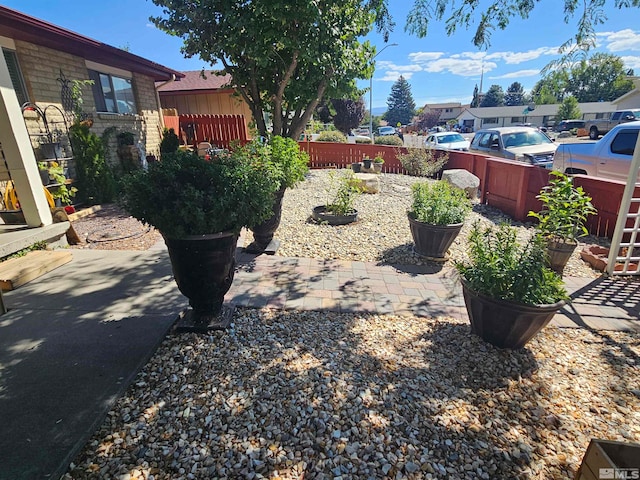 view of yard featuring a patio