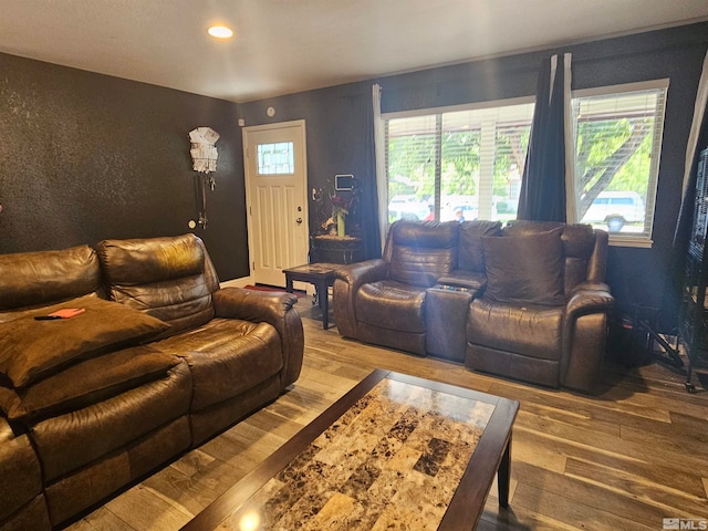 living room with hardwood / wood-style flooring