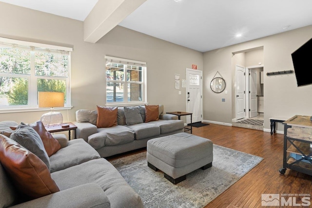 living room featuring hardwood / wood-style floors