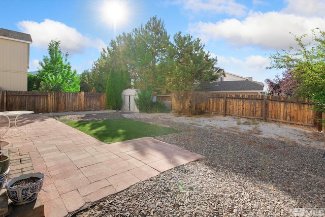 view of yard featuring a patio area and a storage shed