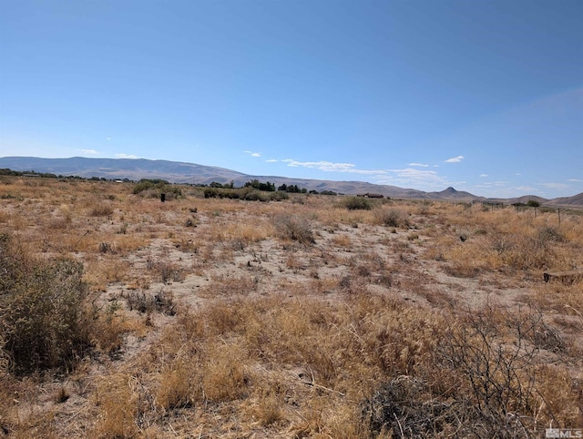 Listing photo 3 for 1485 E Badger St, Silver Springs NV 89429