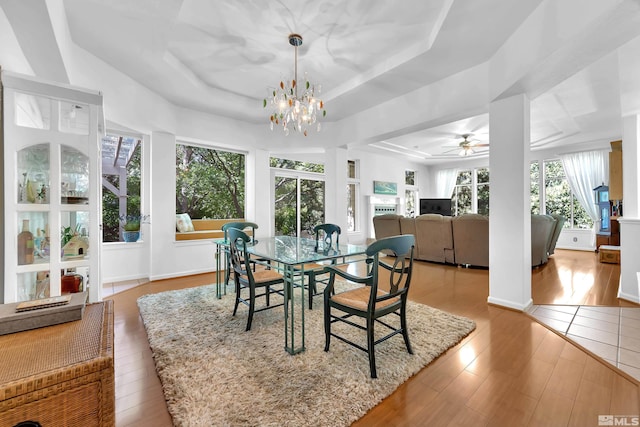 dining space with ceiling fan with notable chandelier, a raised ceiling, a wealth of natural light, and light hardwood / wood-style flooring