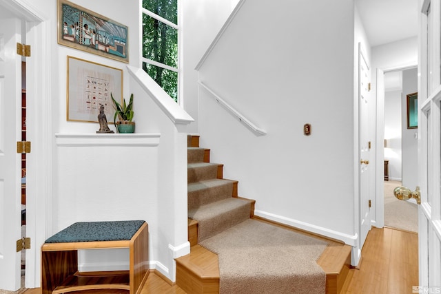 stairs with hardwood / wood-style flooring