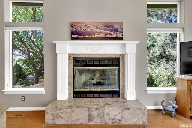 details featuring wood-type flooring and a high end fireplace