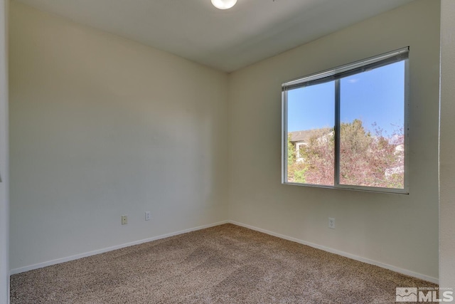 spare room featuring carpet flooring