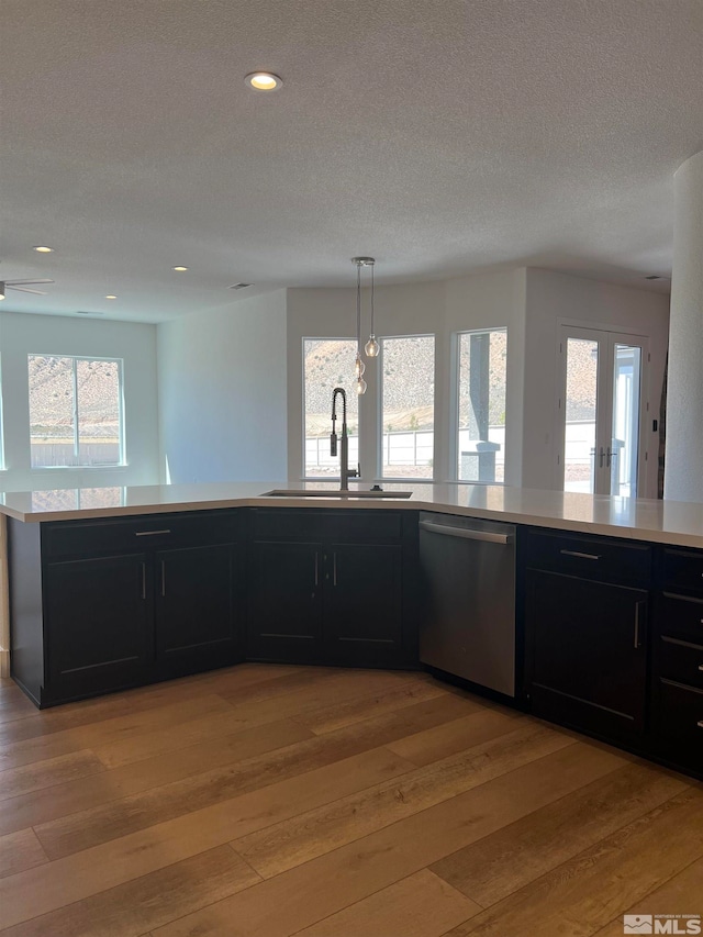 kitchen with plenty of natural light, stainless steel dishwasher, and light hardwood / wood-style floors